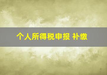 个人所得税申报 补缴